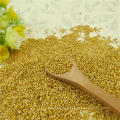 2012 nouvelle récolte, pureté machine de millet de maïs de balai blanc nettoyé